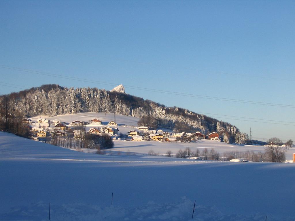 Pension Waldhof Koppl Buitenkant foto