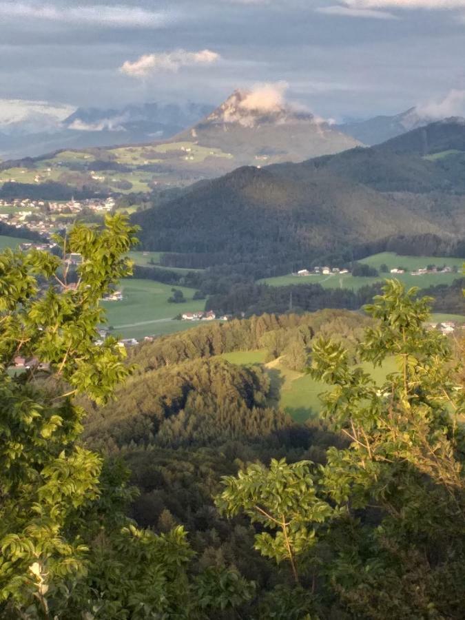 Pension Waldhof Koppl Buitenkant foto