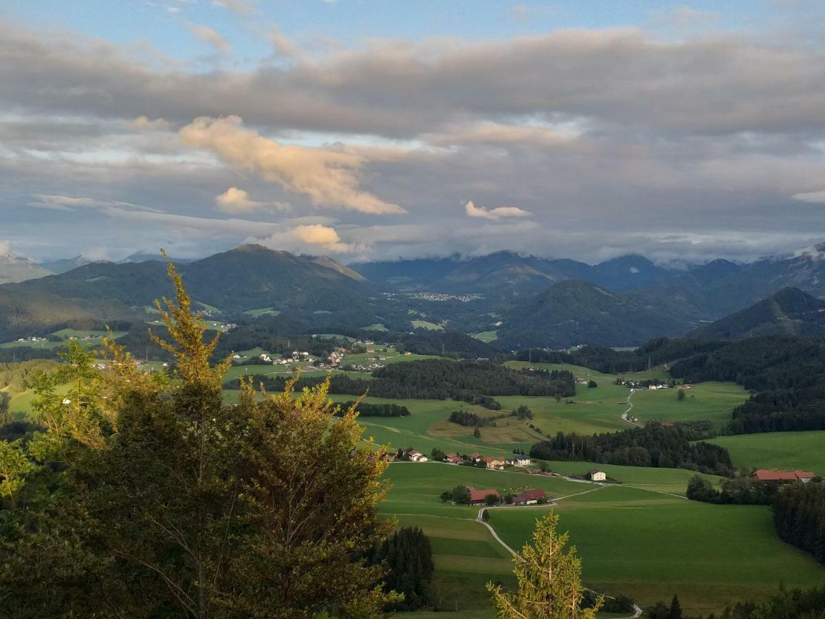 Pension Waldhof Koppl Buitenkant foto